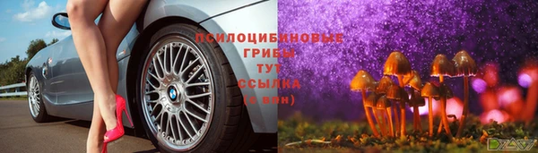 ешки Аркадак
