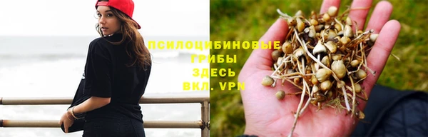 СК Алексин