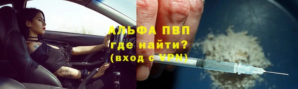 СК Алексин