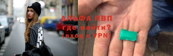 СК Алексин