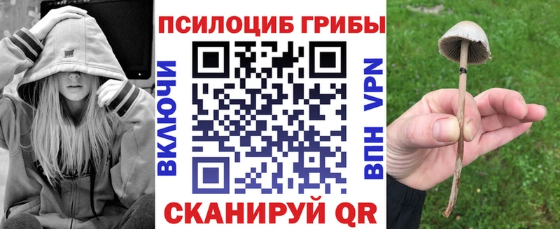 Псилоцибиновые грибы мицелий  что такое наркотик  ОМГ ОМГ как зайти  Краснотурьинск 